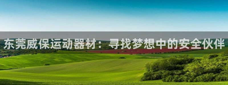 三亿体育官网下载平台假的吗是真的吗吗:东莞威保运动器材:寻找